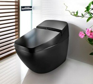 stylish black toilet